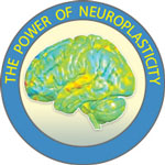The Power of Neuroplasticity