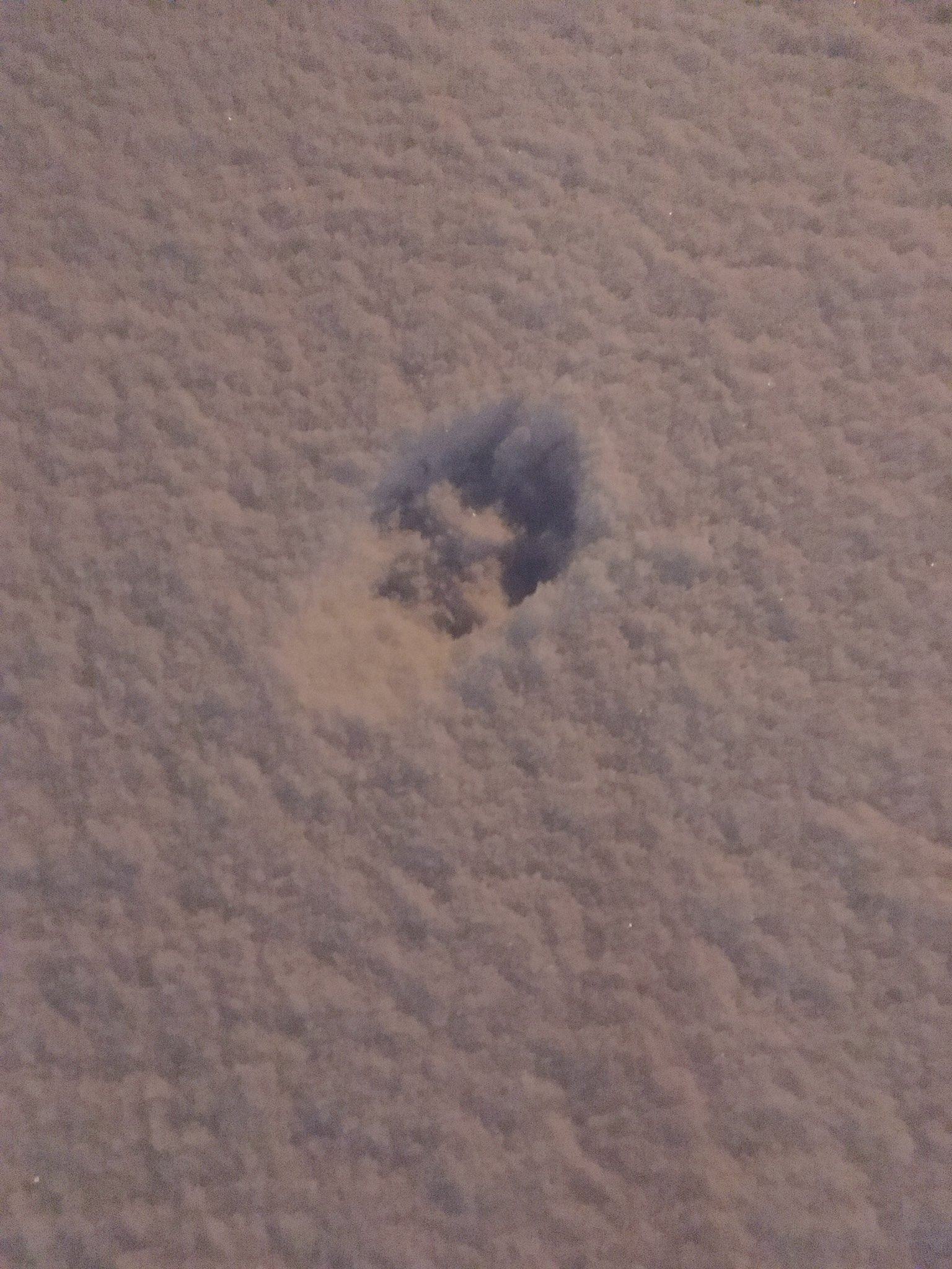 Fox in the Snow