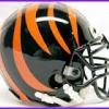 Tigers Johnson