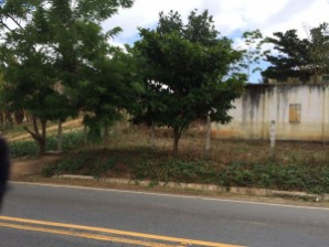 Terreno para Vender em Alagoa Grande (Todos os setores)