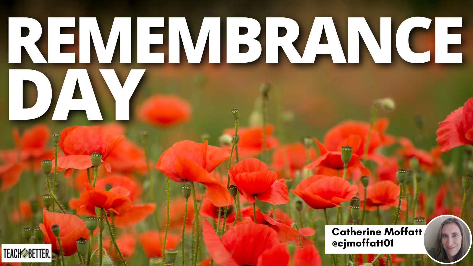 Featured image for “Remembrance Day”