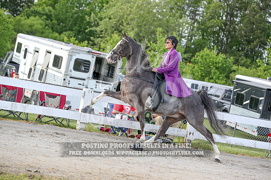 Tim Philpot Memorial Horse Show 