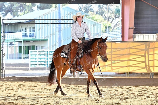 CACH.001.RR.KH6.6.646.Made_With_Chocolute_1640.jpg California Championship  
