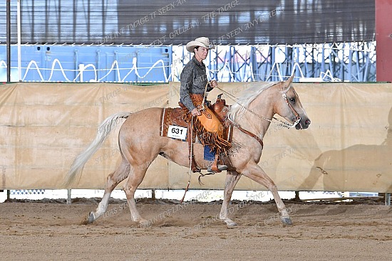 CACH.001.RR.KH4.12.631.Amaretto_Has_Nu_Cash_1370.jpg California Championship  