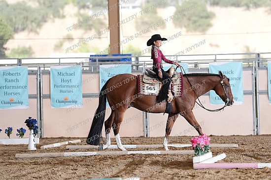 CACH.001.TRAIL.KL12.19.565.Disturbing_The_Peace_0258.jpg California Championship  
