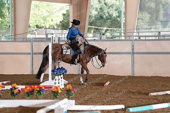 CACH.001.TRAIL.KL5.1.565.Disturbing_The_Peace_9377.jpg California Championship  