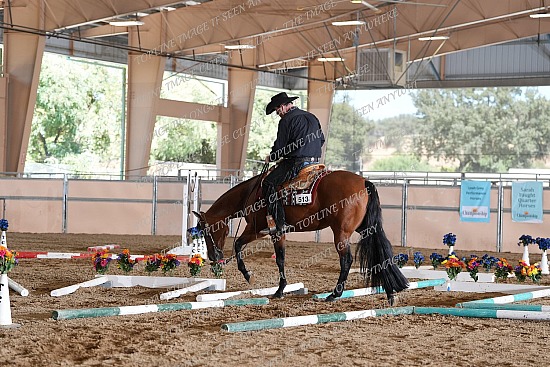 CACH.001.TRAIL.KL10.7.513.Ill_B_Lazy_Lopin_RV_9946.jpg California Championship  