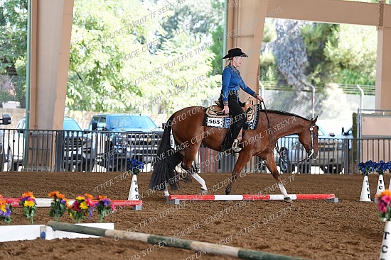 CACH.001.TRAIL.KL5.1.565.Disturbing_The_Peace_9376.jpg California Championship  