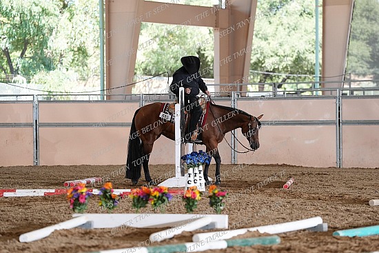 CACH.001.TRAIL.KL10.7.513.Ill_B_Lazy_Lopin_RV_9949.jpg California Championship  