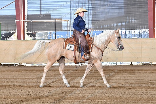 CACH.001.RR.KH1.15.631.Amaretto_Has_Nu_Cash_0908.jpg California Championship  