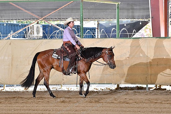 CACH.001.RR.KH1.16.646.Made_With_Chocolute_0924.jpg California Championship  
