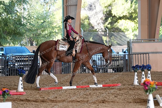 CACH.001.TRAIL.KL12.19.565.Disturbing_The_Peace_0253.jpg California Championship  