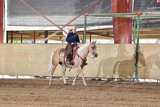 CACH.001.RR.KH1.15.631.Amaretto_Has_Nu_Cash_0913.jpg California Championship  