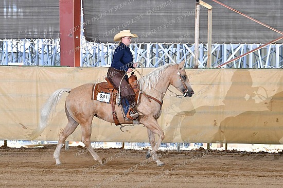 CACH.001.RR.KH1.15.631.Amaretto_Has_Nu_Cash_0911.jpg California Championship  