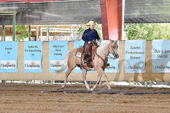 CACH.001.RR.KH1.15.631.Amaretto_Has_Nu_Cash_0914.jpg California Championship  
