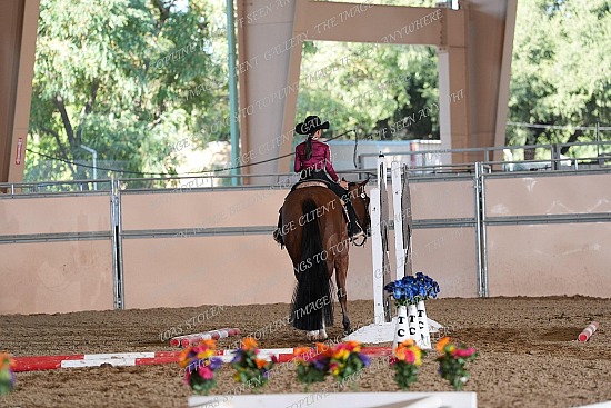 CACH.001.TRAIL.KL12.19.565.Disturbing_The_Peace_0254.jpg California Championship  