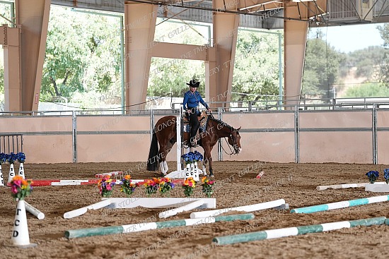 CACH.001.TRAIL.KL9.17.565.Disturbing_The_Peace_9870.jpg California Championship  