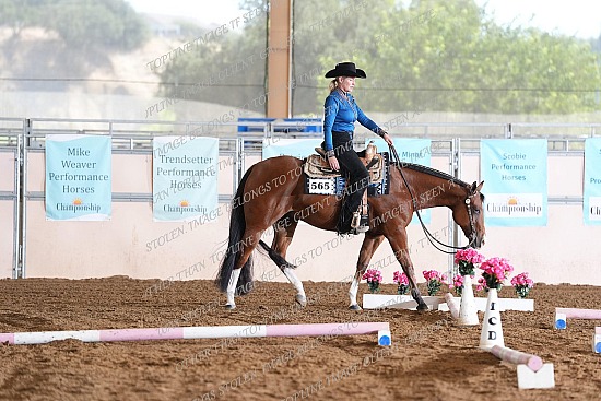 CACH.001.TRAIL.KL5.1.565.Disturbing_The_Peace_9378.jpg California Championship  