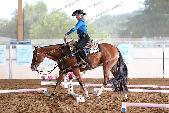 CACH.001.TRAIL.KL5.1.565.Disturbing_The_Peace_9379.jpg California Championship  
