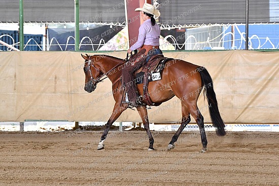 CACH.001.RR.KH1.16.646.Made_With_Chocolute_0919.jpg California Championship  