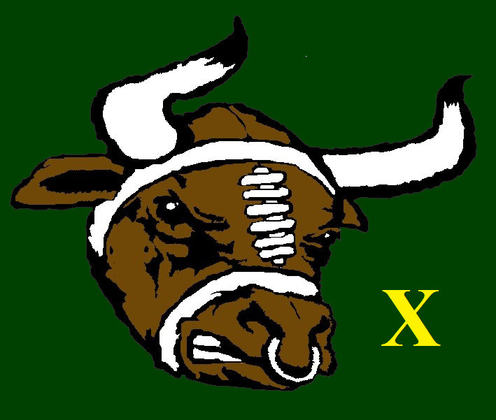 Bulls Rally X