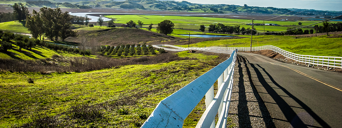 Accountant Santa Rosa