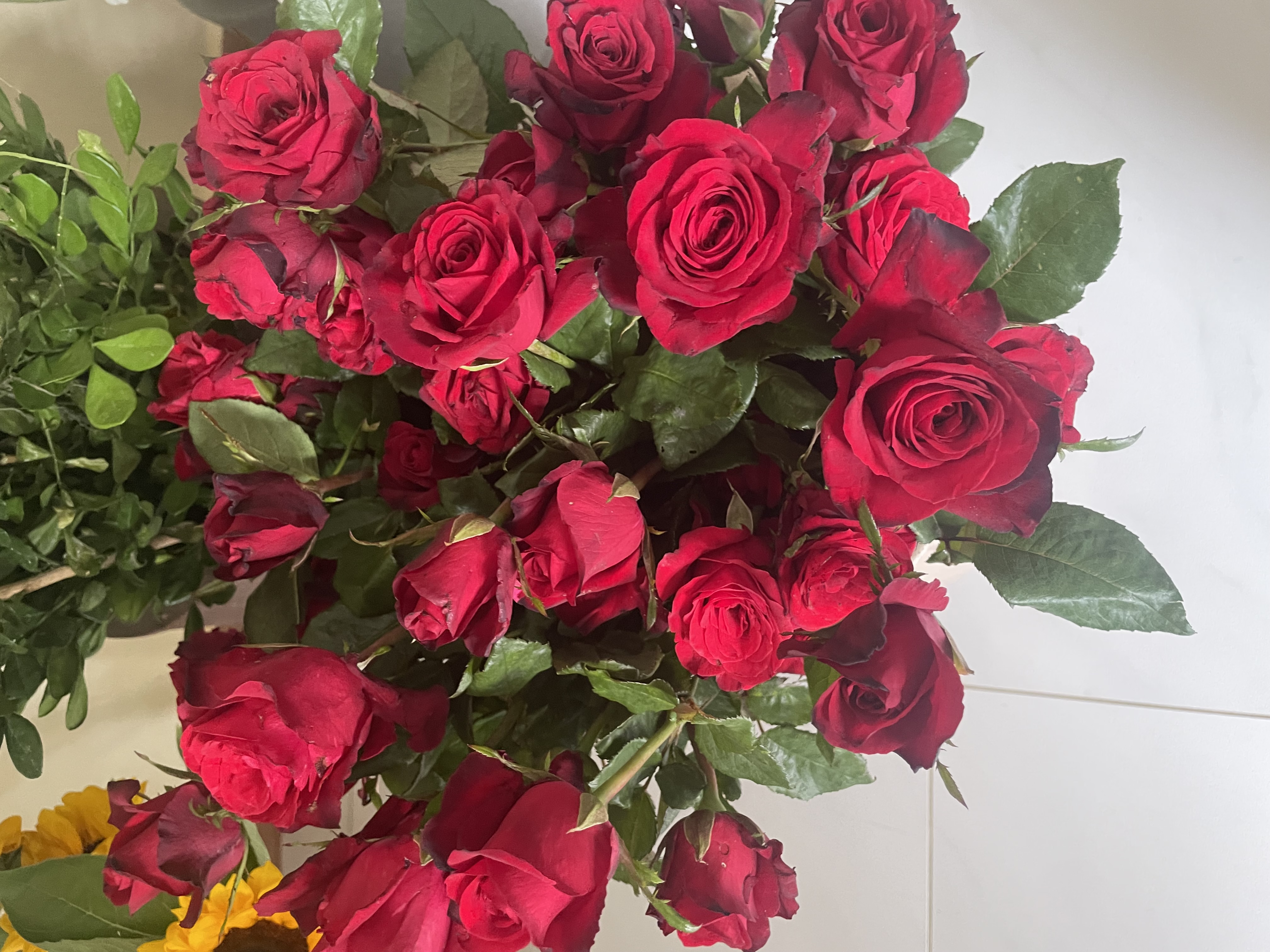 Rosa a unidade