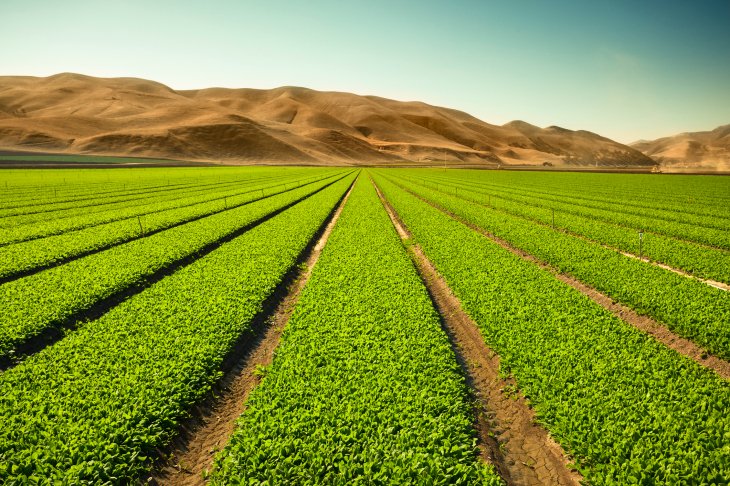 A global crop reshuffle could reduce agricultural land by half