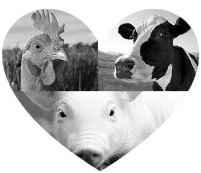 Veganismo - Além do prato