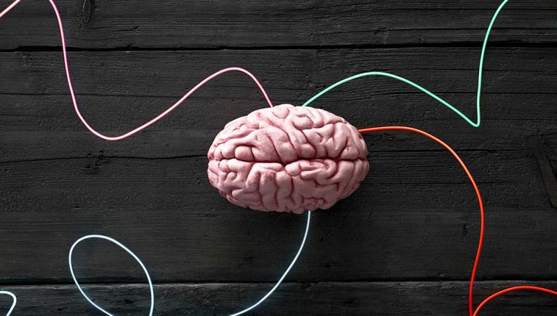 Similar Changes In Brains Of Patients >> Albilad Scientists Train Brains To Change Strength Them In Under Similar Changes In Brains Of Patients >> Albilad Scientists Train Brains To Change Strength Them In Under