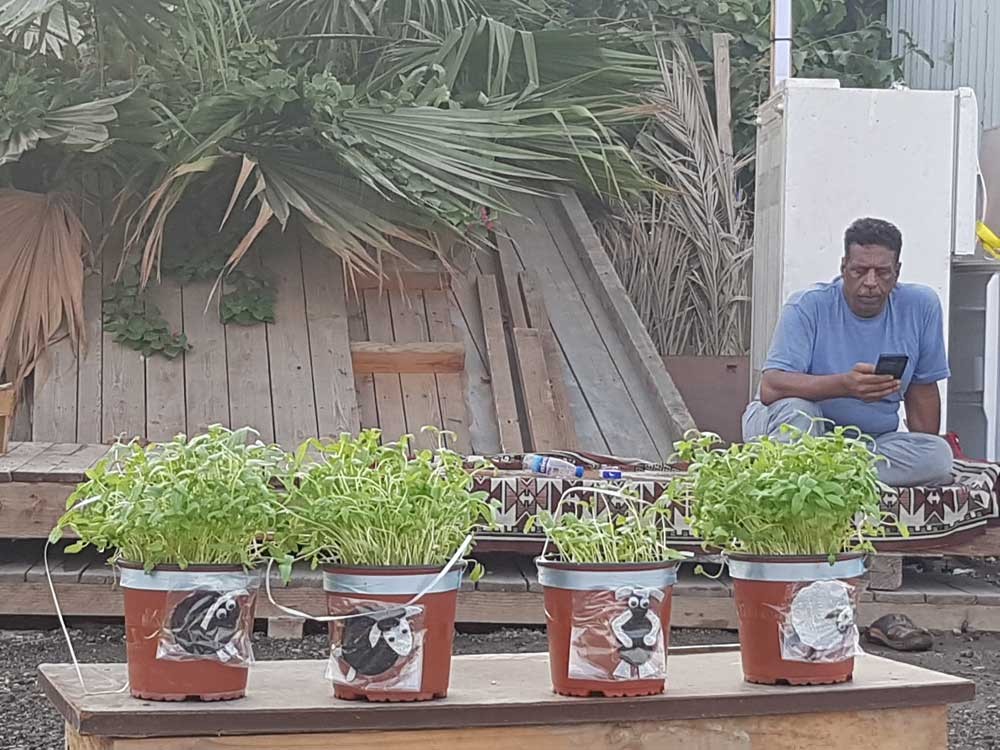 باقي البقية وبالتأكيد لها من يبحث عنها