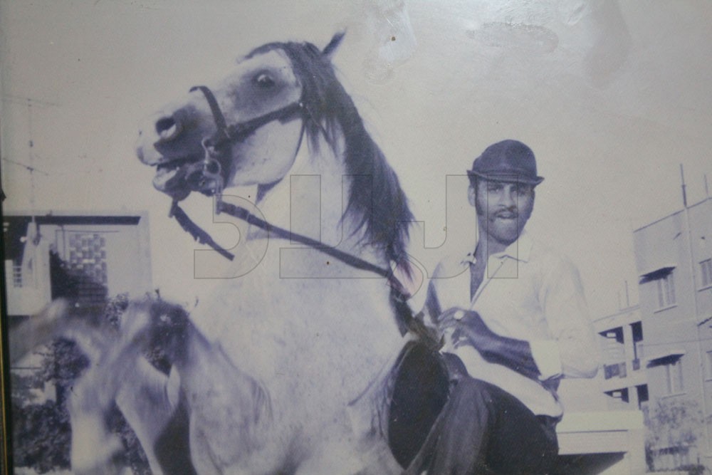 مهارة في التعامل مع الخيل