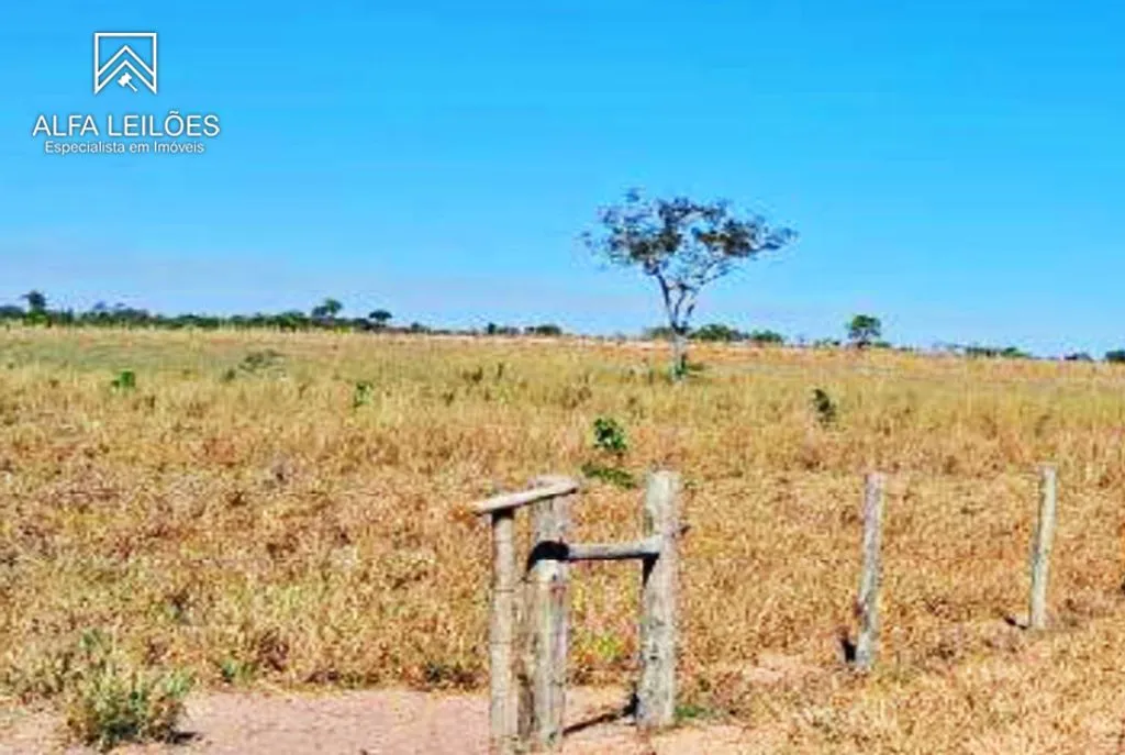 Leilão de Fazenda em Ponte Alta do Tocantins (TO)
