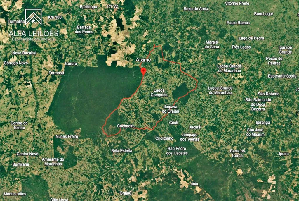 Leilão de Fazenda em Arame (MA)
