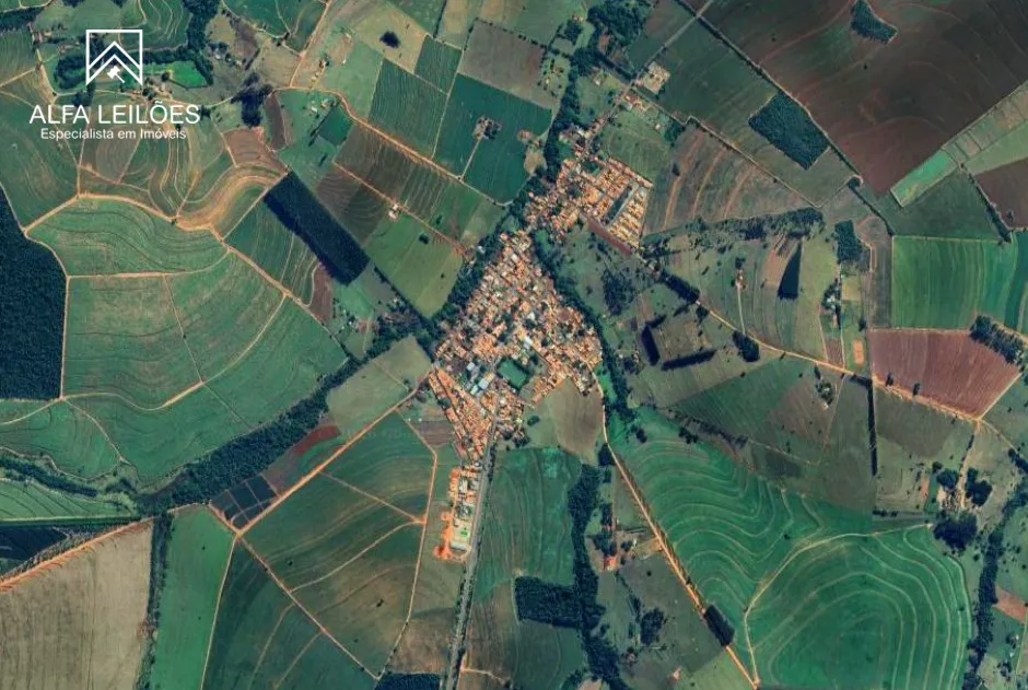 Leilão de Casa em Óleo (SP)