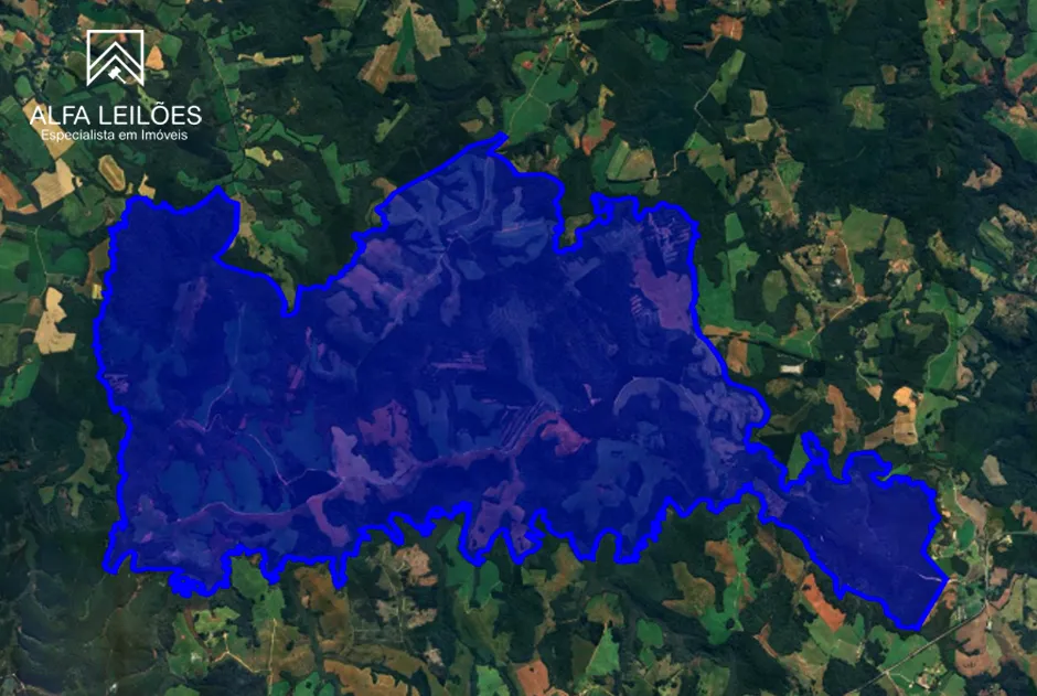 Leilão da Fazenda Santana com 3.705 Hectares em Lapa (PR)
