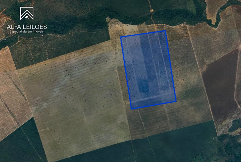 Imóvel Rural em Leilão em Sorriso / MT - 193502