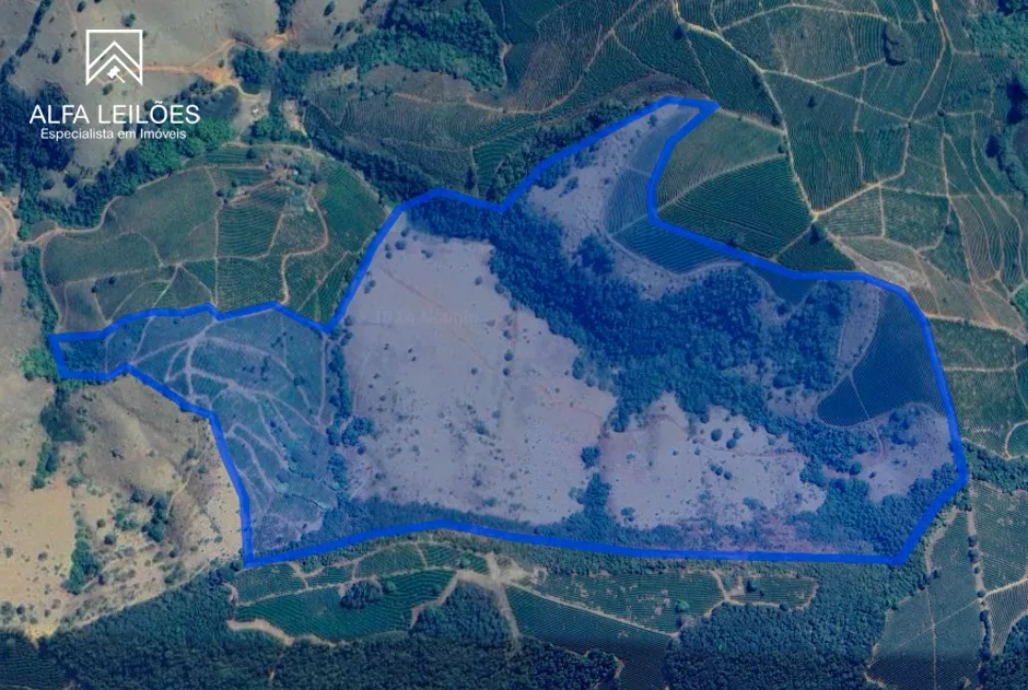 Leilão de Fazenda em Carmo da Cachoeira (MG)