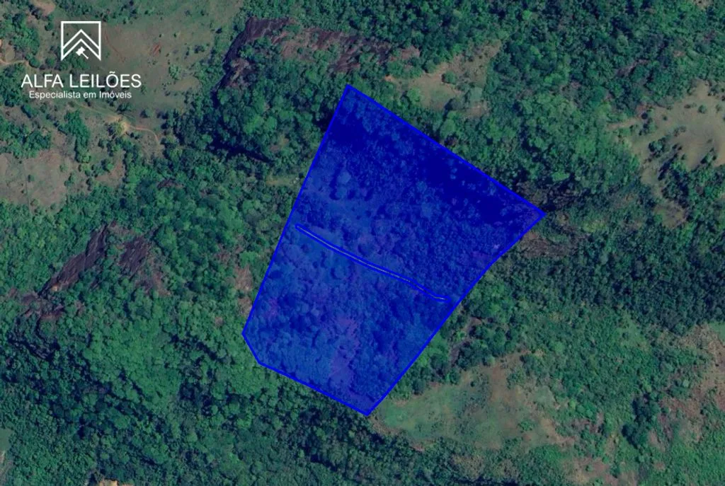 Leilão de Sitio em Guiricema (MG)