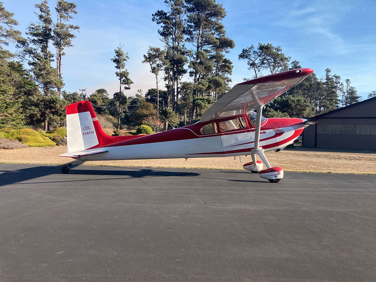 1974 Cessna 180 — photo 5