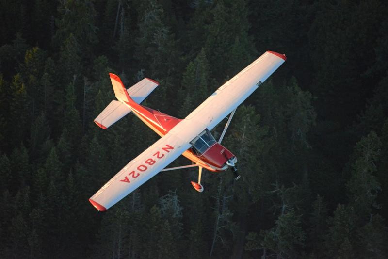 1974 Cessna 180, photo 6