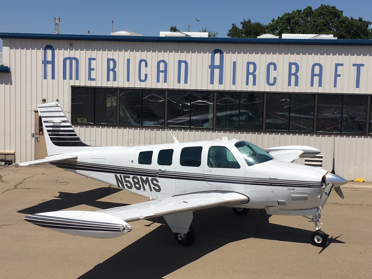 1994 Beech Bonanza A36 — photo 2