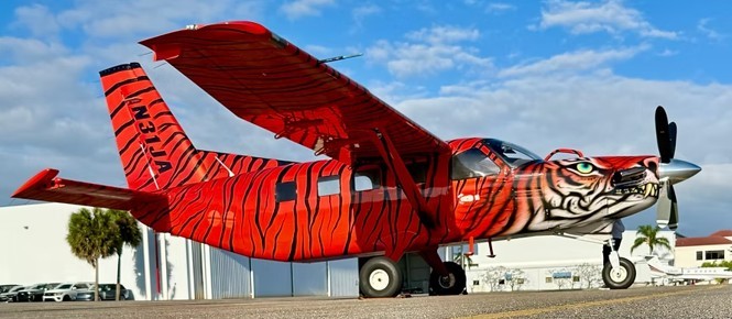 2010 Daher Kodiak 100