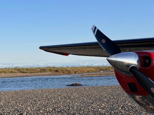 1953 Cessna 170B — photo 4