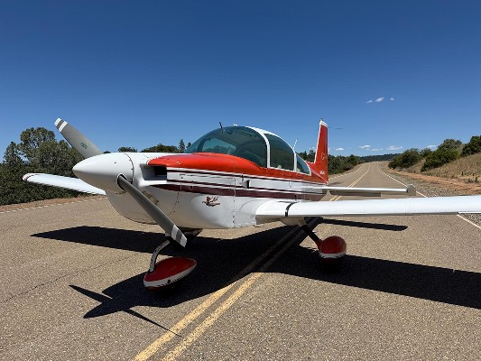 1979 Grumman American Tiger AA-5B — photo 2