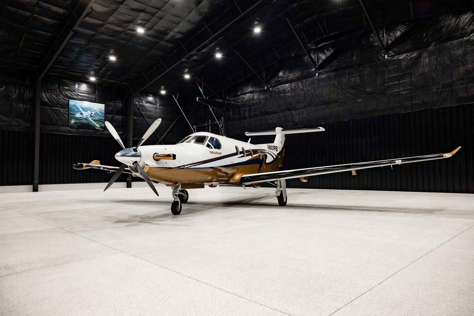2008 Pilatus PC-12 — photo 2