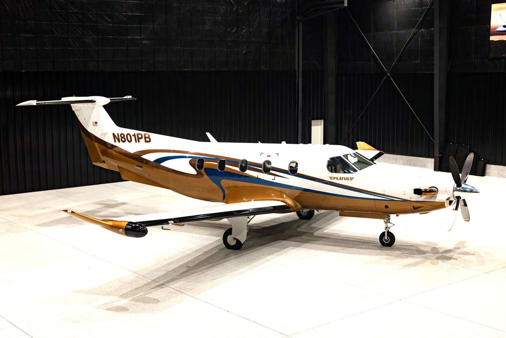 2008 Pilatus PC-12 — photo 4