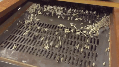 Clipper cleaner sifting