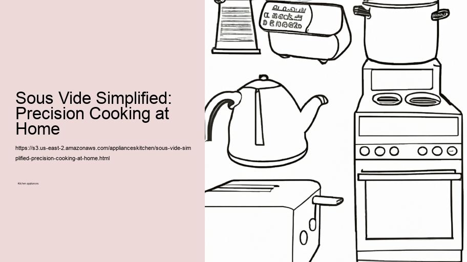Sous Vide Simplified: Precision Cooking at Home