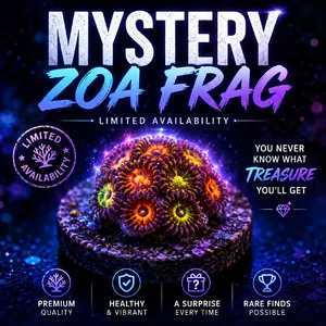 Mystery zoa frag featuring colorful fluorescent zoanthid polyps on a reef plug with limited availability promotional text and a dark neon reef background.